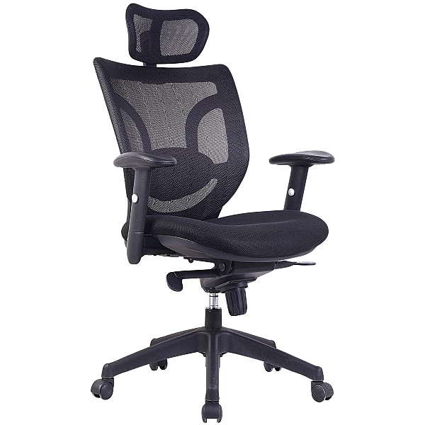 Aral Mesh Back Manager Chair 1 Aral Mesh Back Manager Chair