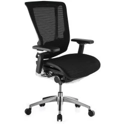 Nefil Ergonomic Mesh Office Chair (Without Headrest) -Home-Furniture 029643