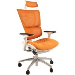 Mirus Ergonomic Mesh Office Chair (With Headrest) -Home-Furniture 030042