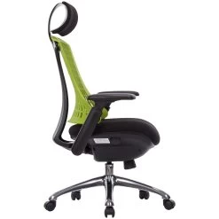 Flash Ergonomic Task Chair With Headrest -Home-Furniture 053730