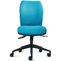 Zen Medium Back Ergonomic Task Chair