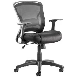 Zest Mesh Task Chair