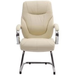 Genoa Top Leather Visitor Chairs -Home-Furniture 069879