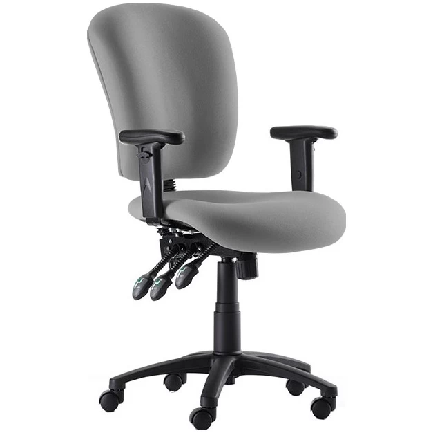 Balanz Medium Back Task Chair 1 Balanz Medium Back Task Chair