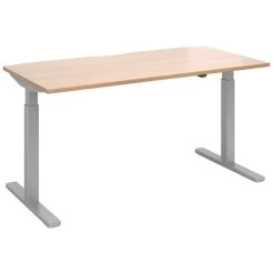 Everyday Sit-Stand Rectangular Desks