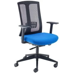 Carson Mesh Office Chairs