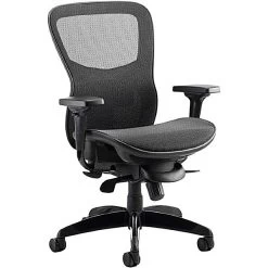 Raptor Mesh And Fabric Office Chair