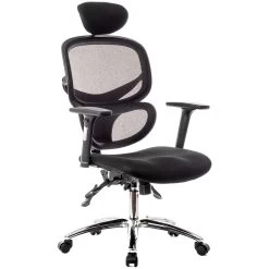 Desire Ergonomic Mesh Office Chair With Headrest