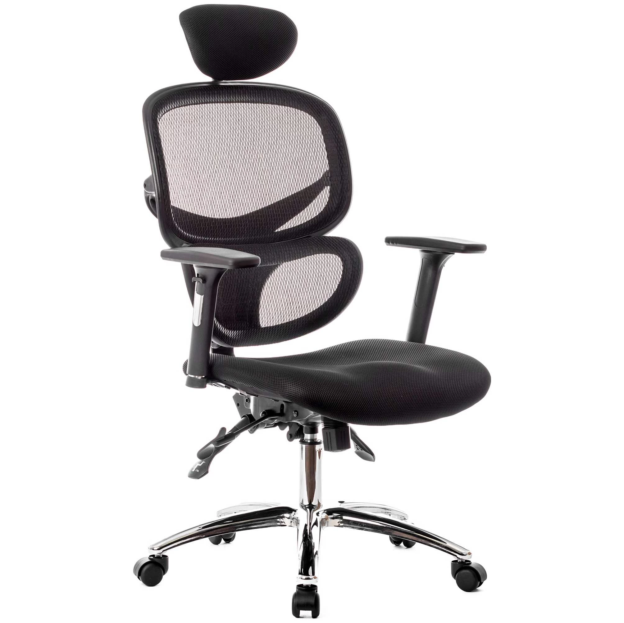 Desire Ergonomic Mesh Office Chair With Headrest 1 Desire Ergonomic Mesh Office Chair With Headrest