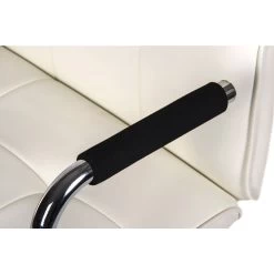 Piccolo Executive Leather Chair -Home-Furniture 110193