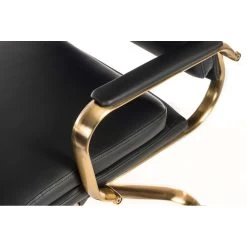 Miras Executive Office Chair -Home-Furniture 112511