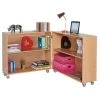 Mobile Hinged Library Bookcase
